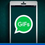 Cómo mandar GIFS en WhatsApp y otras de las novedades