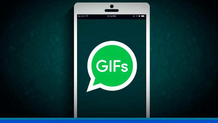 Cómo mandar GIFS en WhatsApp y otras de las novedades