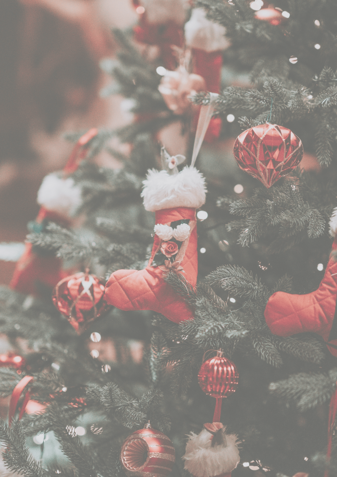 Estas son las palabras más buscadas en Navidad