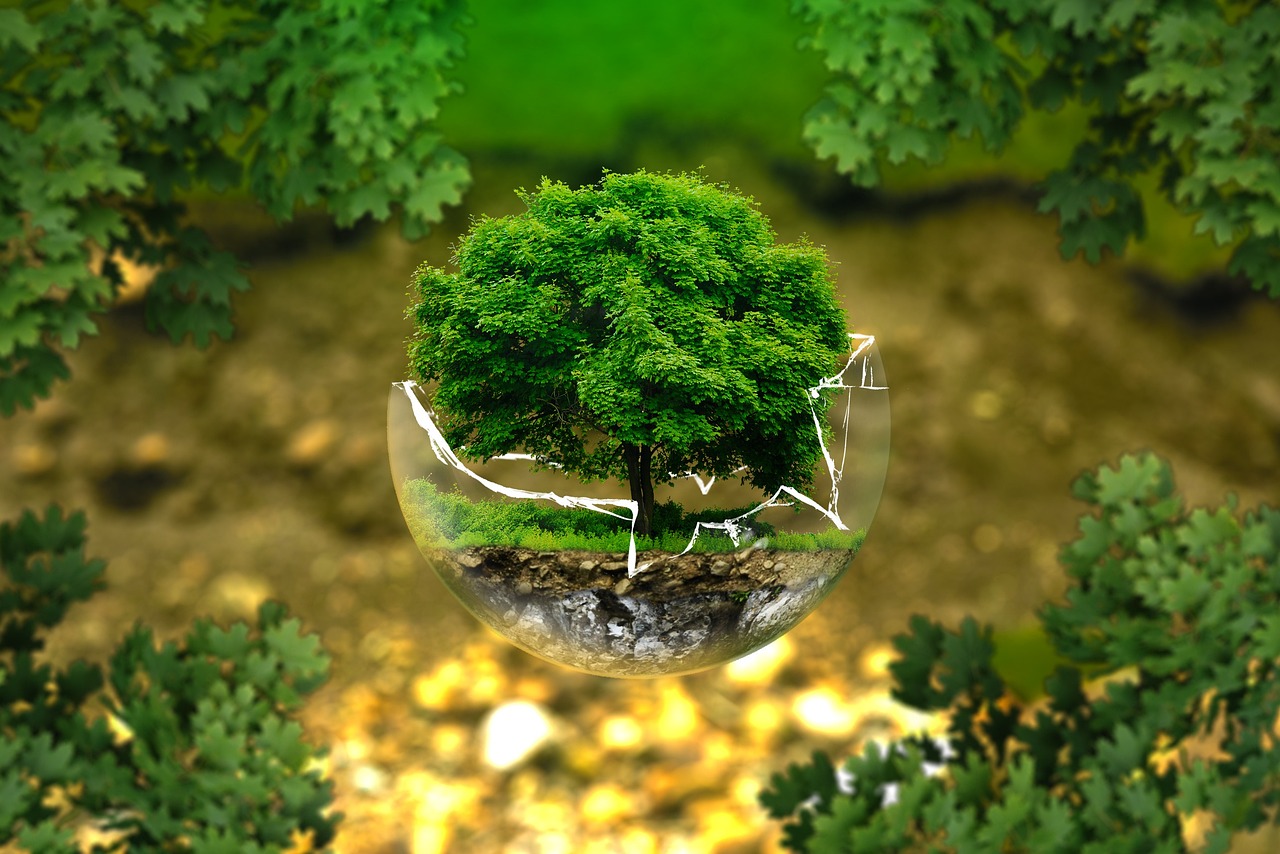 Marketing verde: estrategias y compromiso sostenible