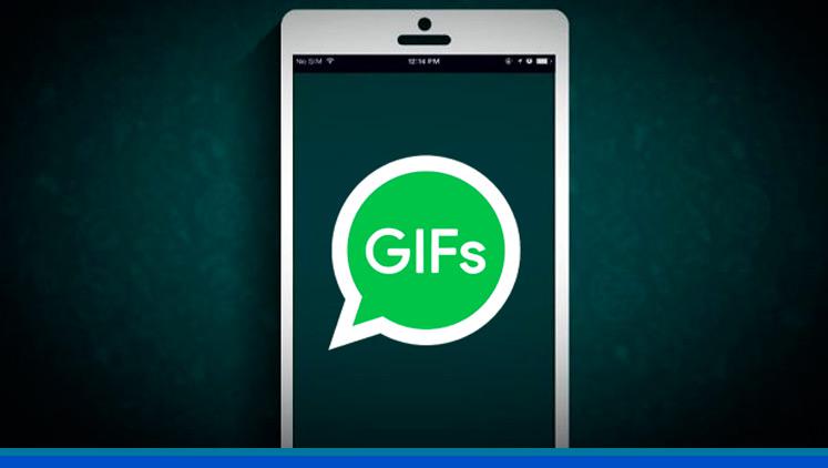 Whatsapp gif 1